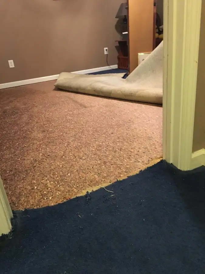 Carpet pad removal revealing water damage during Drying & Dehumidification in Brevard