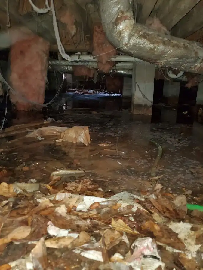 Crawl space flood assessment for Commercial Water Damage Restoration in Brevard