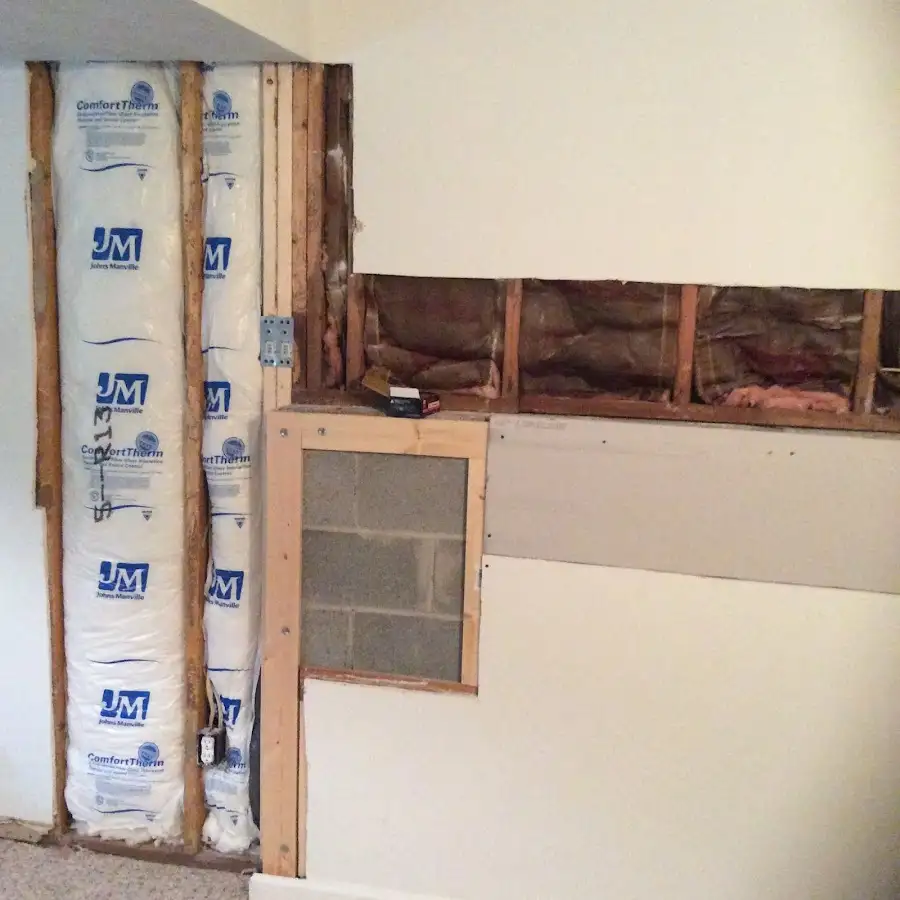 Wall insulation replacement during Basement Flood Cleanup in Brevard